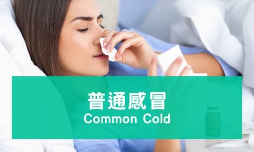 痛风病人能吃鸡蛋吗-痛风病人能吃鸡蛋吗专区_痛风病人能吃木耳吗专区_痛风病人能吃羊肚菌吗网