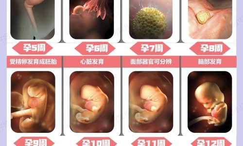 痛风病人能吃花生吗-痛风病人能吃鸡蛋吗专区_痛风病人能吃木耳吗专区_痛风病人能吃羊肚菌吗网