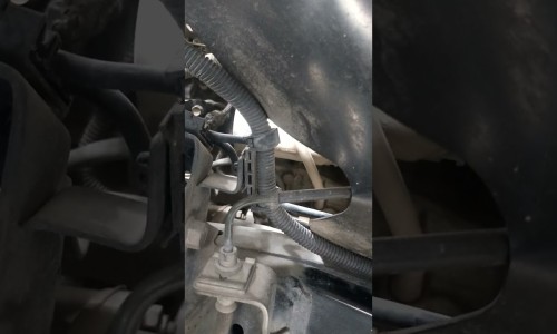 痛风病人能吃鸡蛋吗专区_痛风病人能吃木耳吗专区_痛风病人能吃羊肚菌吗网